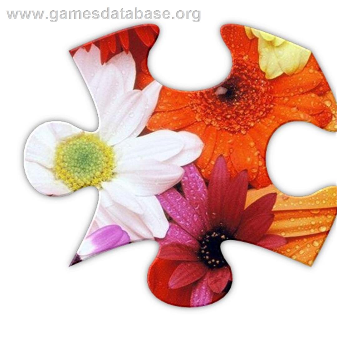 Jigsaws Galore - Microsoft Windows - Artwork - Box
