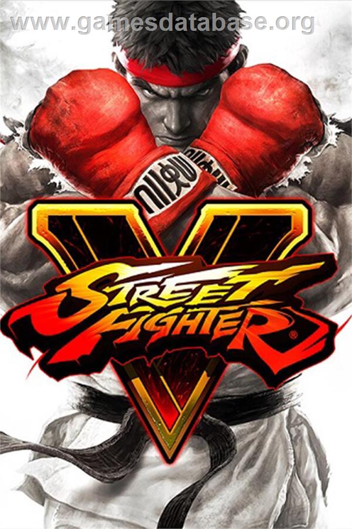Street Fighter - Microsoft Windows - Artwork - Box