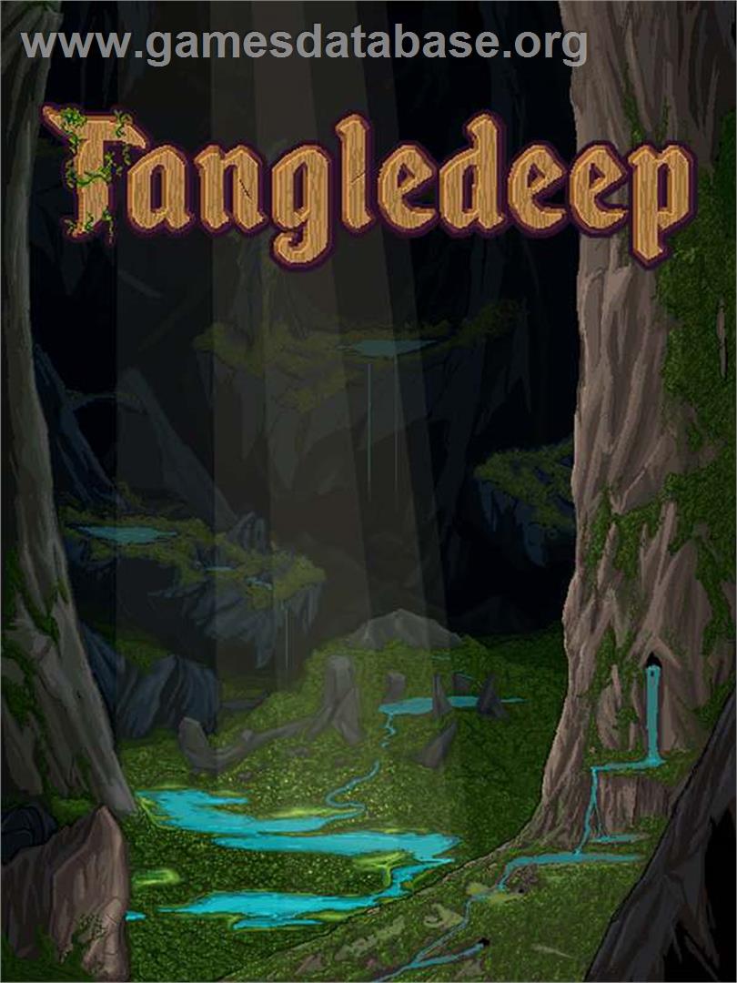 Tangledeep - Microsoft Windows - Artwork - Box