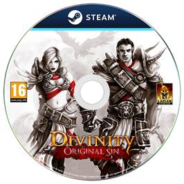 Cartridge artwork for Divinity - Original Sin on the Microsoft Windows.
