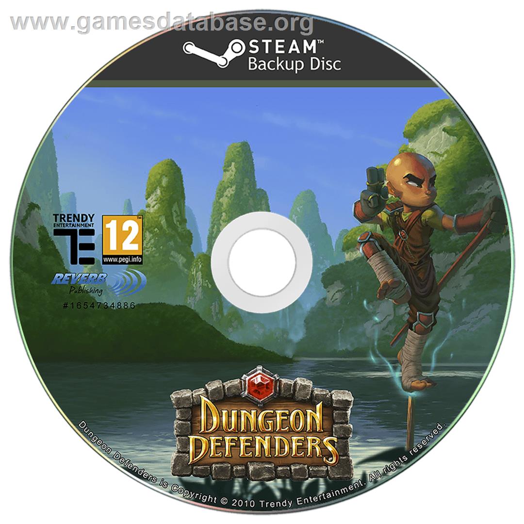 Dungeon Defenders - Microsoft Windows - Artwork - Cartridge