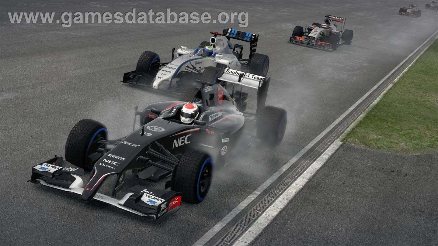 F1 2014 - Microsoft Windows - Artwork - In Game