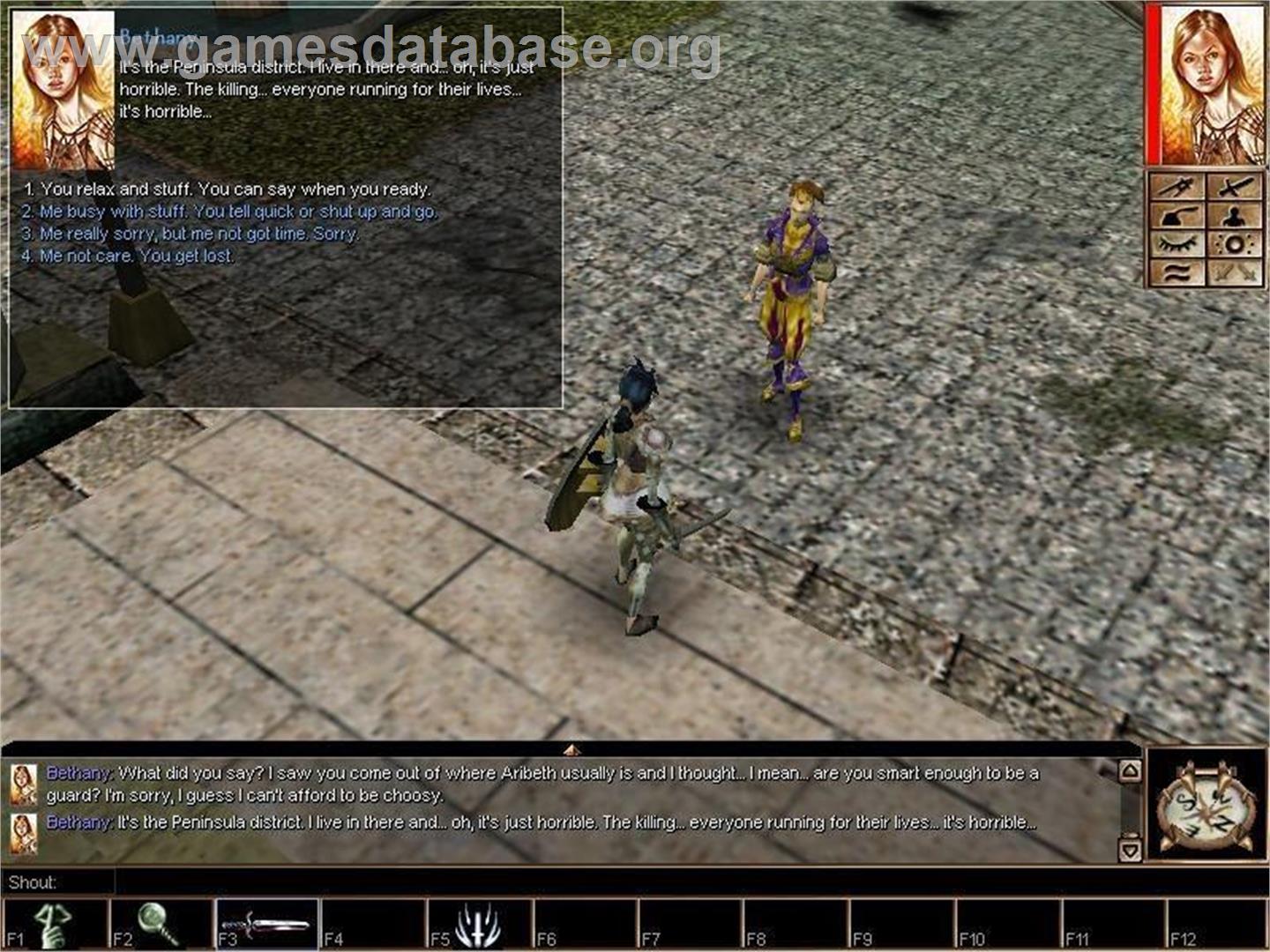 Neverwinter Nights - Microsoft Windows - Artwork - In Game
