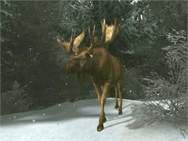 In game image of Cabela's Outdoor Adventures on the Microsoft Xbox.