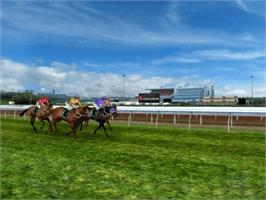 In game image of Frankie Dettori Racing on the Microsoft Xbox.