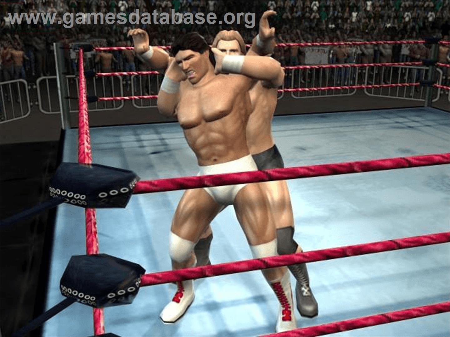 Legends of Wrestling 2 - Microsoft Xbox - Artwork - In Game