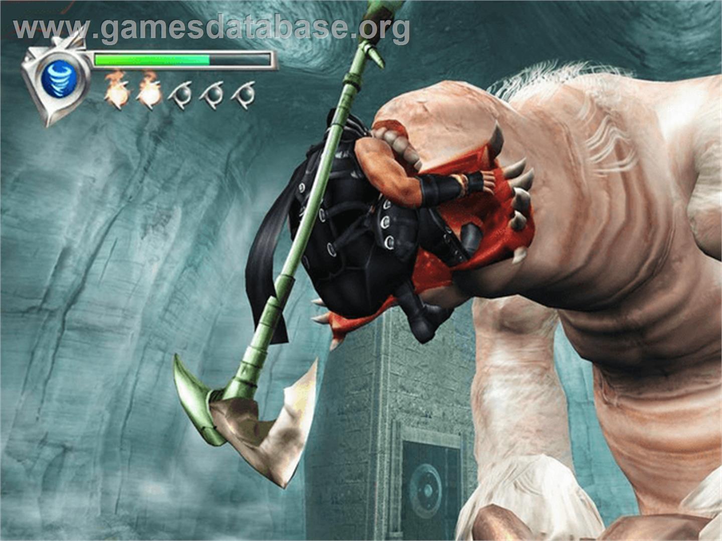 Ninja Gaiden - Microsoft Xbox - Artwork - In Game