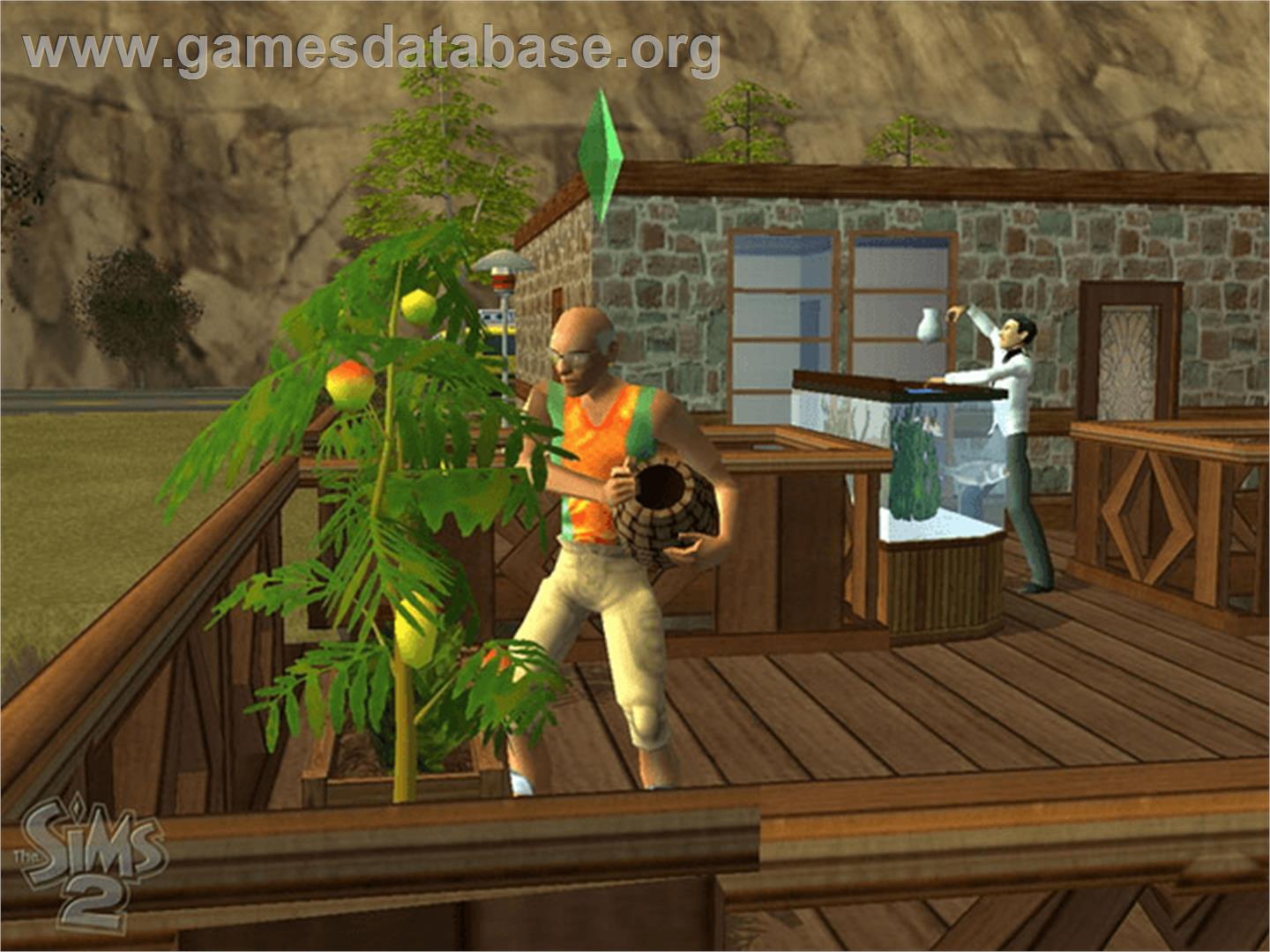 Sims 2 - Microsoft Xbox - Artwork - In Game