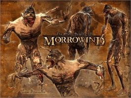 Title screen of Elder Scrolls 3, The - Morrowind on the Microsoft Xbox.