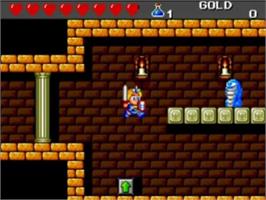 In game image of Dragon's Curse on the NEC TurboGrafx-16.