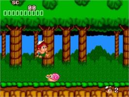 In game image of New Adventure Island on the NEC TurboGrafx-16.