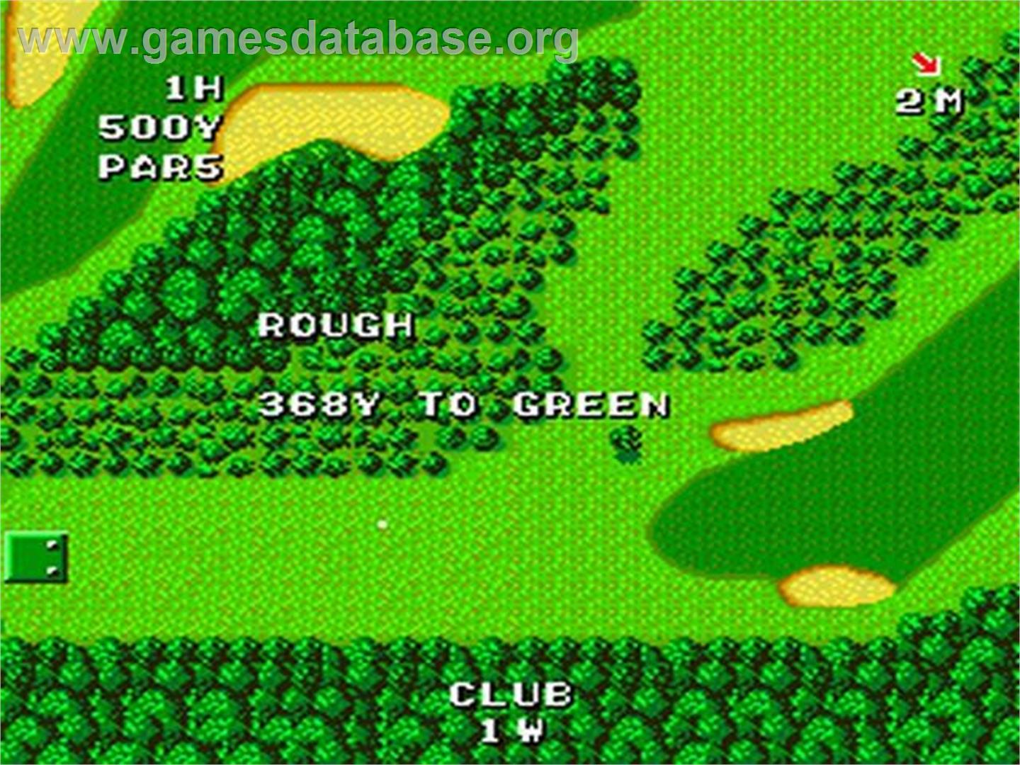Naxat Open - NEC TurboGrafx-16 - Artwork - In Game