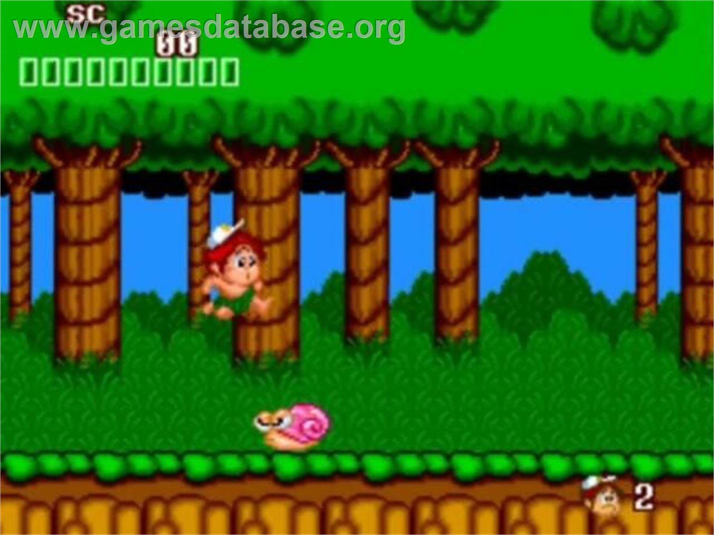 New Adventure Island - NEC TurboGrafx-16 - Artwork - In Game