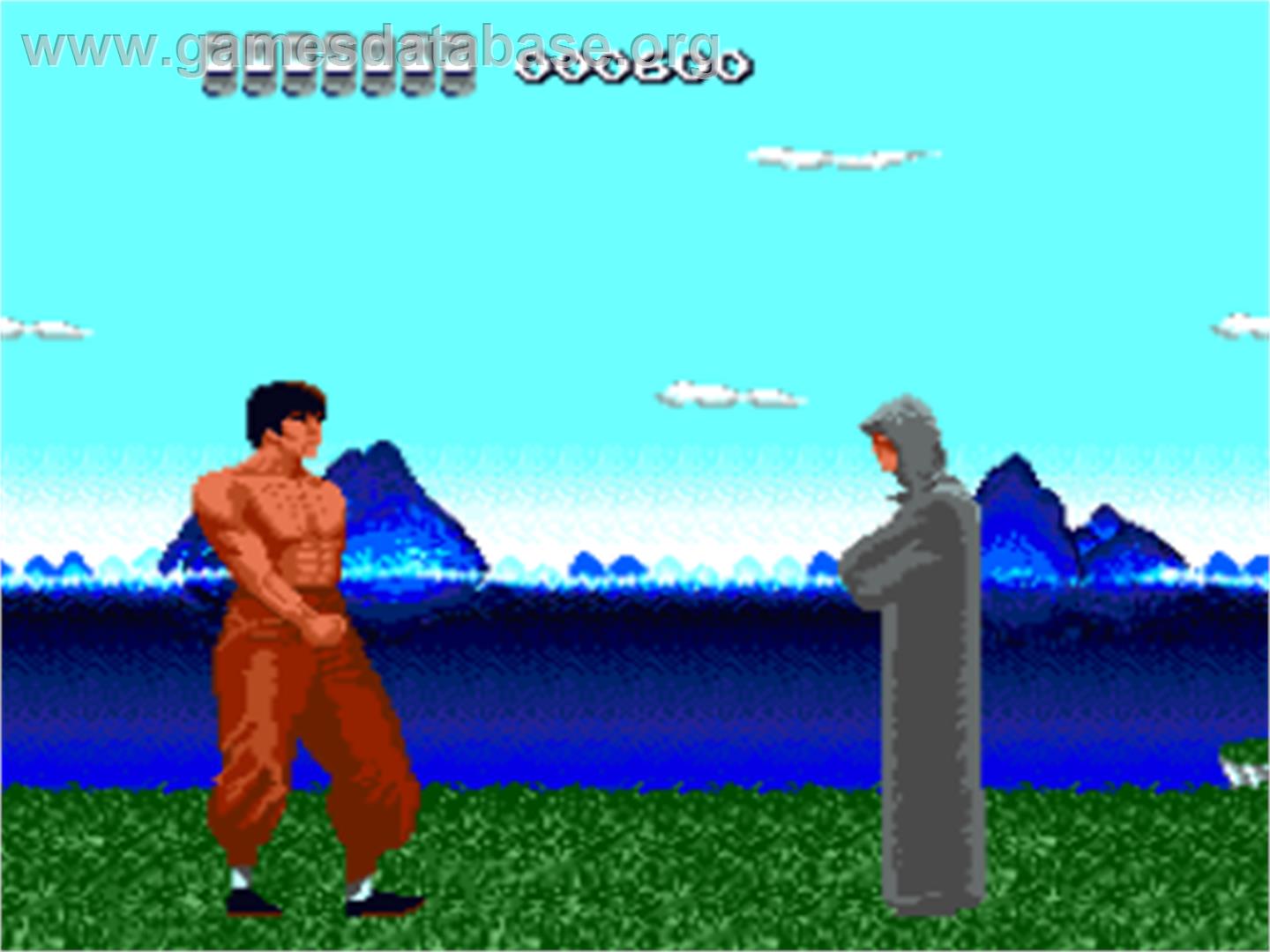 The Ninja Warriors - NEC TurboGrafx-16 - Artwork - In Game