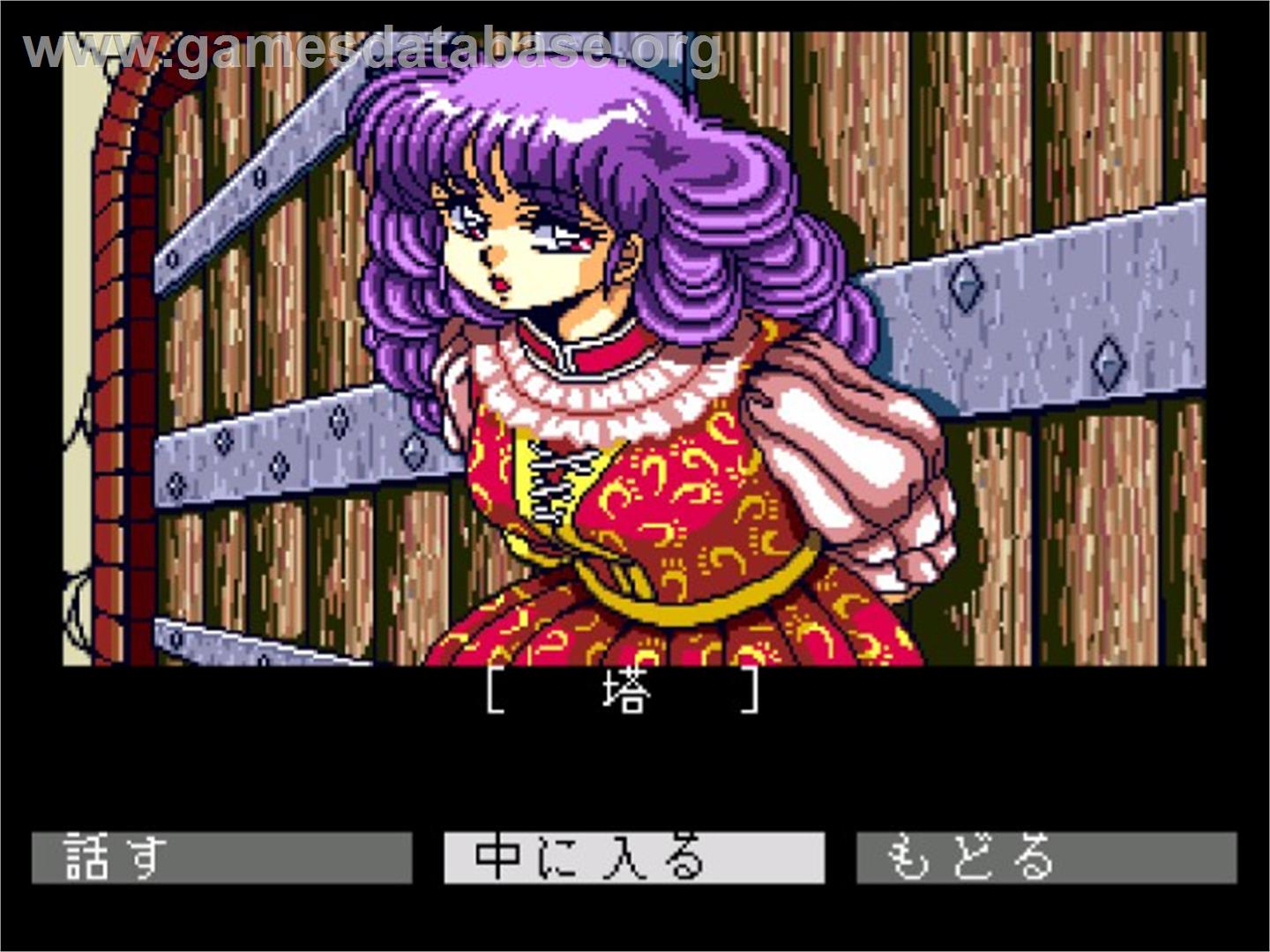 Dragon Knight 2 - NEC TurboGrafx CD - Artwork - In Game