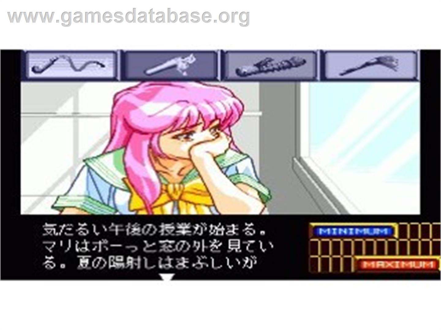Shinsetsu Shiawase Usagi 2 - Kairaku E No Invitation - NEC TurboGrafx CD - Artwork - In Game