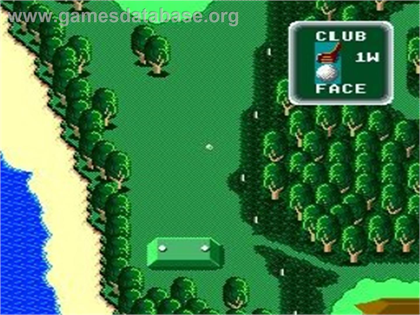 Super Albatross - NEC TurboGrafx CD - Artwork - In Game