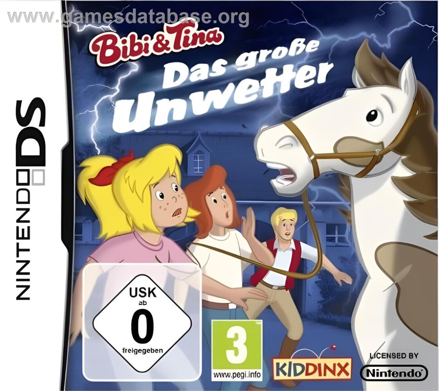 Bibi And Tina - Das Grosse Unwetter - Nintendo DS - Artwork - Box