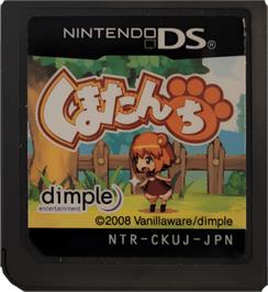 Cartridge artwork for Kumatanchi on the Nintendo DS.