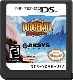 Cartridge artwork for Super Dodgeball Brawlers on the Nintendo DS.