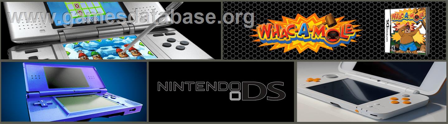 Whac-a-mole - Nintendo DS - Artwork - Marquee