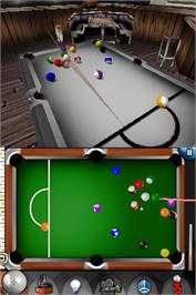 In game image of Actua Pool on the Nintendo DS.