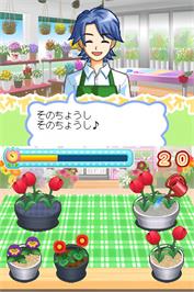 In game image of Akogare Girls Collection - Ohanaya-san Monogatari on the Nintendo DS.