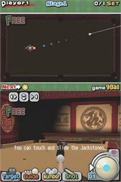 In game image of Billiard Action on the Nintendo DS.
