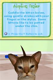 In game image of Catz on the Nintendo DS.