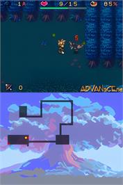 In game image of Dungeon Of Windaria on the Nintendo DS.