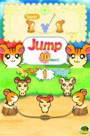 In game image of Hi! Hamtaro - Ham-ham Challenge on the Nintendo DS.