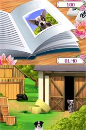 In game image of I Love Puppies on the Nintendo DS.