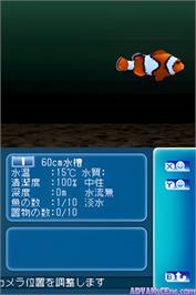 In game image of Kiwami Birei Aquarium - Sekai No Sakana To Iruka Kujira-tachi on the Nintendo DS.