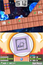 In game image of Labyrinth on the Nintendo DS.