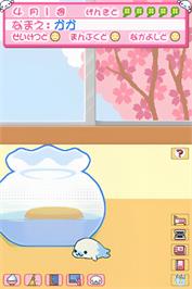 In game image of Mame Goma - Honobono Nikki on the Nintendo DS.
