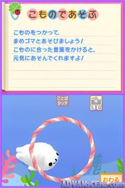 In game image of Mame Goma 2 - Uchi No Ko Ga Ichiban! on the Nintendo DS.