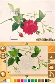 In game image of Paint By Ds on the Nintendo DS.