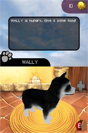 In game image of Paws And Claws - Best Friends - Dogs And Cats on the Nintendo DS.