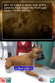 In game image of Pet Pals - Animal Doctor on the Nintendo DS.