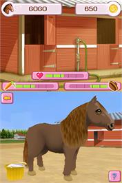 In game image of Petz - Pony Beauty Pageant on the Nintendo DS.