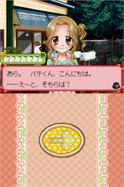 In game image of Princess Bakery on the Nintendo DS.
