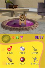In game image of Purr Pals on the Nintendo DS.