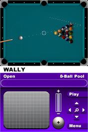 In game image of World Cup Of Pool on the Nintendo DS.