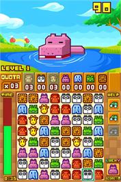 In game image of Zoo Keeper on the Nintendo DS.