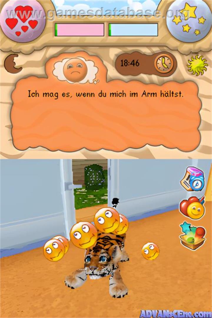 Baby Wild Katzen - Nintendo DS - Artwork - In Game