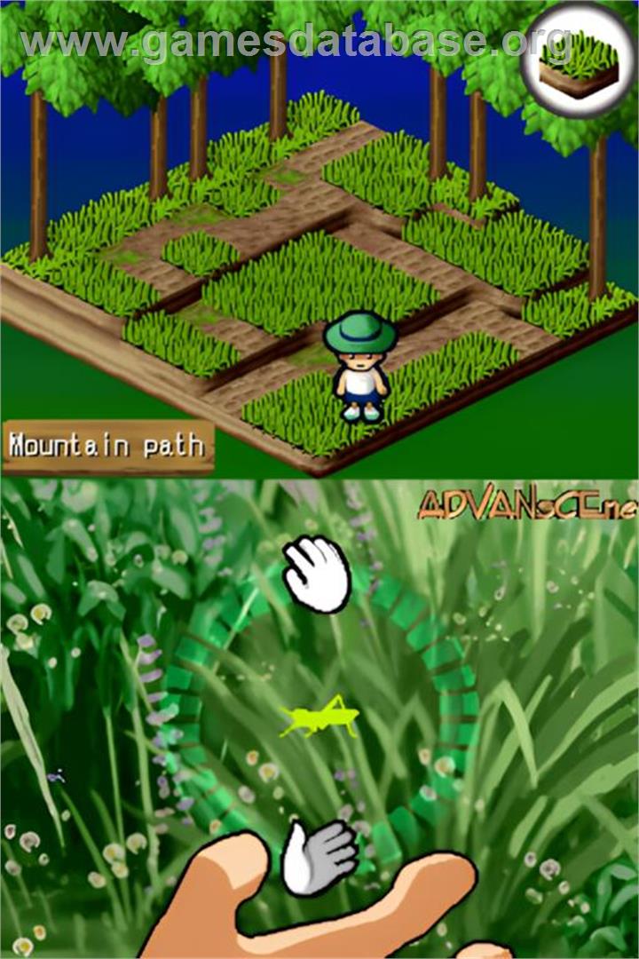 Beetle King - Nintendo DS - Artwork - In Game