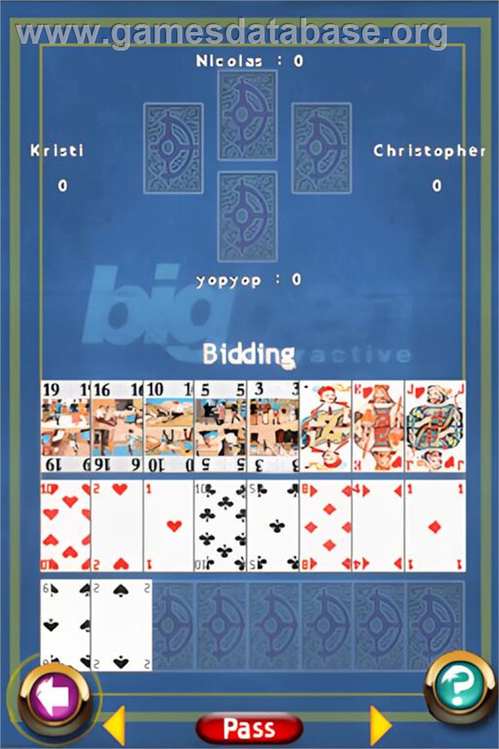 Best Of Card Games - Nintendo DS - Artwork - In Game