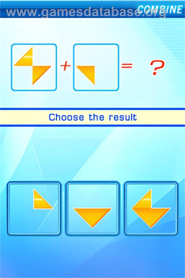 Brain Challenge - Nintendo DS - Artwork - In Game