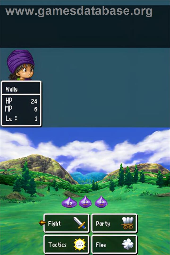Dragon Quest 5 - Hand Of The Heavenly Bride - Nintendo DS - Artwork - In Game
