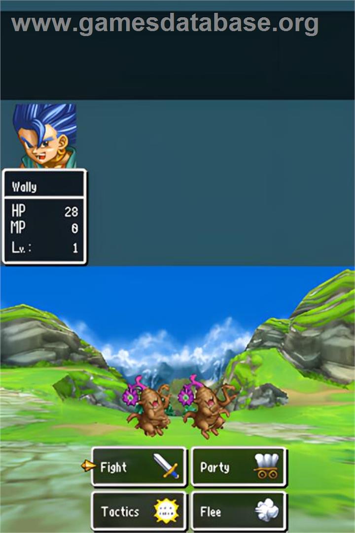 Dragon Quest 6 - Realms of Revelation - Nintendo DS - Artwork - In Game